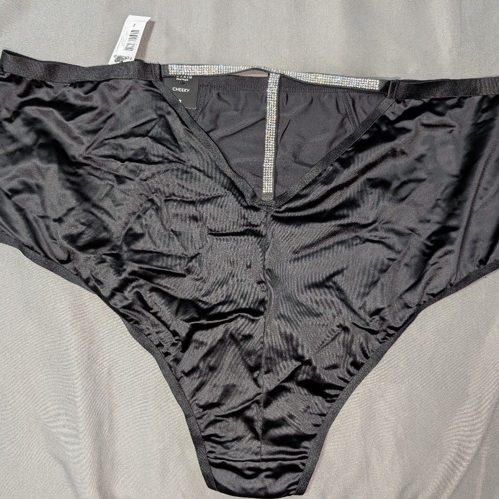 Torrid Panties
